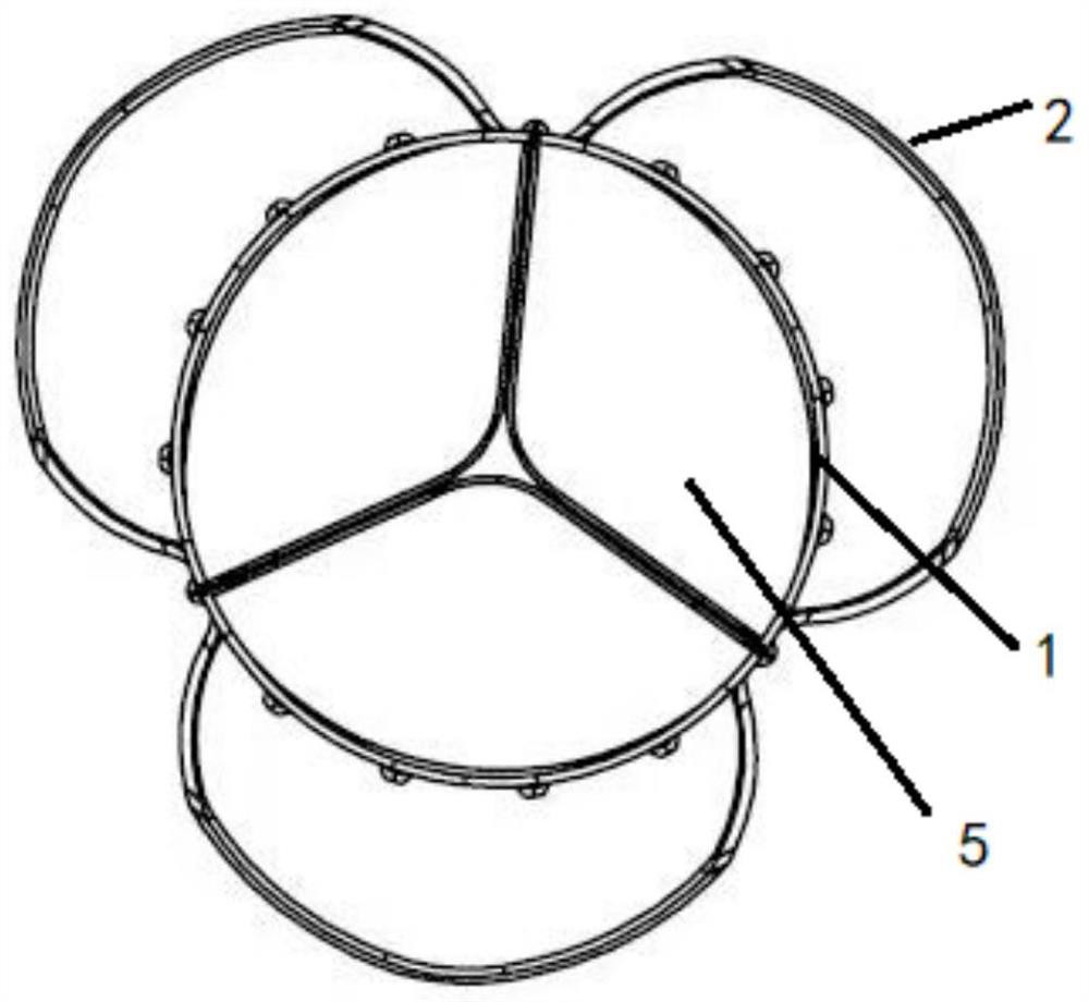 Valve stent applied to aortic valve regurgitation