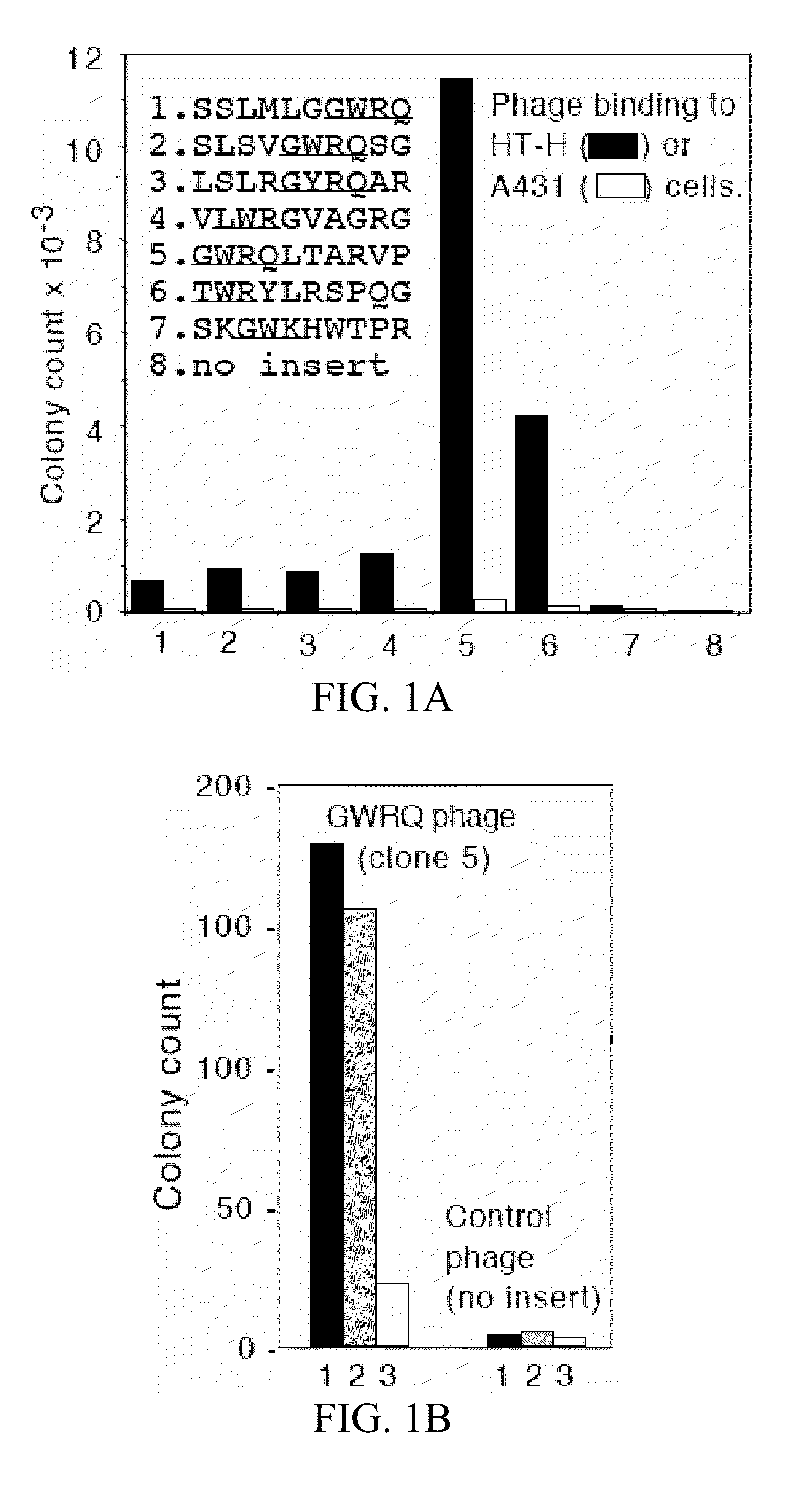 Trophinin-binding peptides and uses thereof