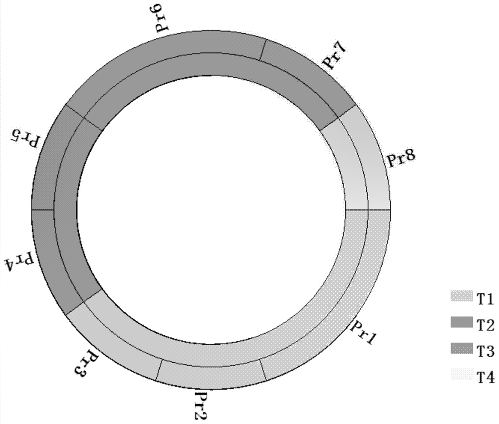 A Visualization Method for Two Types of Linked Hierarchical Data