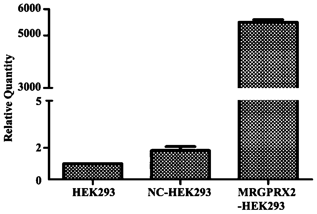 Recombinant cell with high expression of mrgprx2 and stationary phase of membrane receptor with high expression of mrgprx2 and its preparation method and application