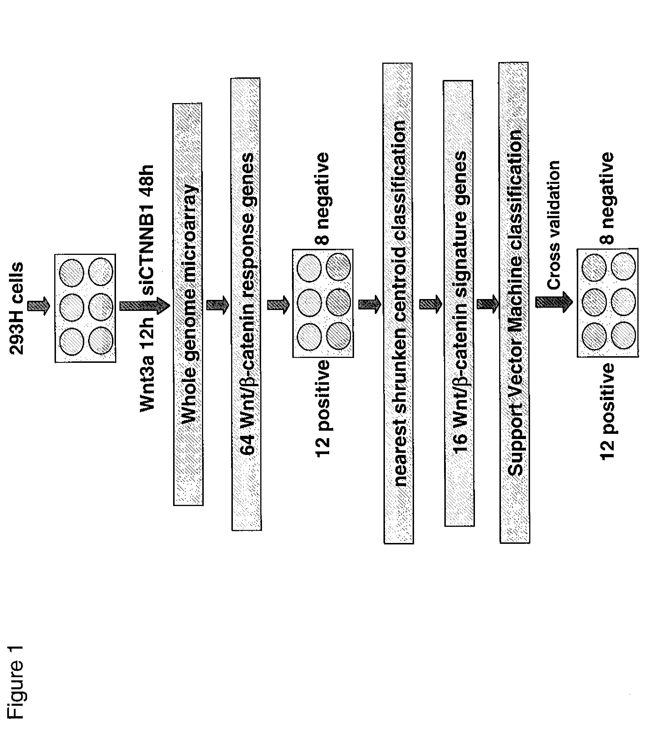 Gene expression signature for wnt/b-catenin signaling pathway and use thereof