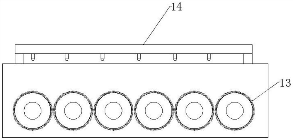 Fruit pre-treatment system for fruit wine