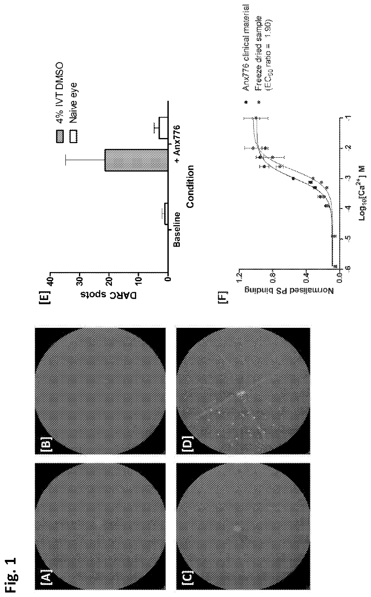 Intranasal Delivery of Fluorescent Marker