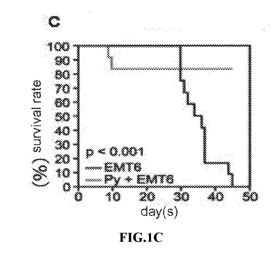 A Composition, A Treatment Method and An Application Thereof