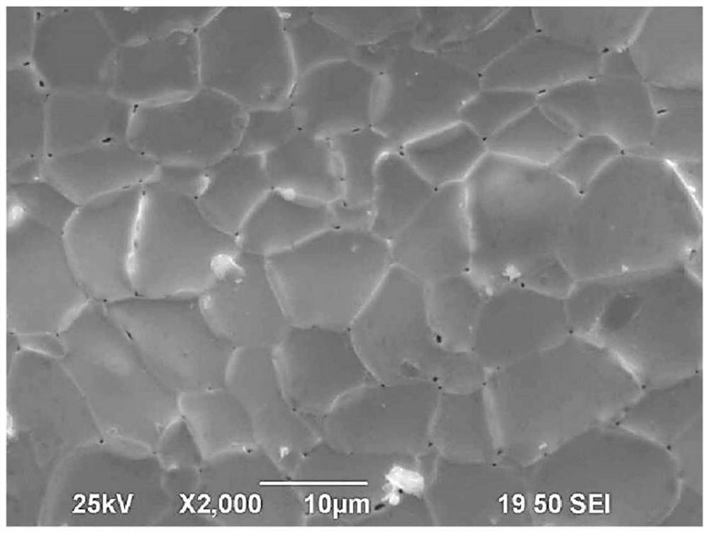 Tantalum carbide composite material