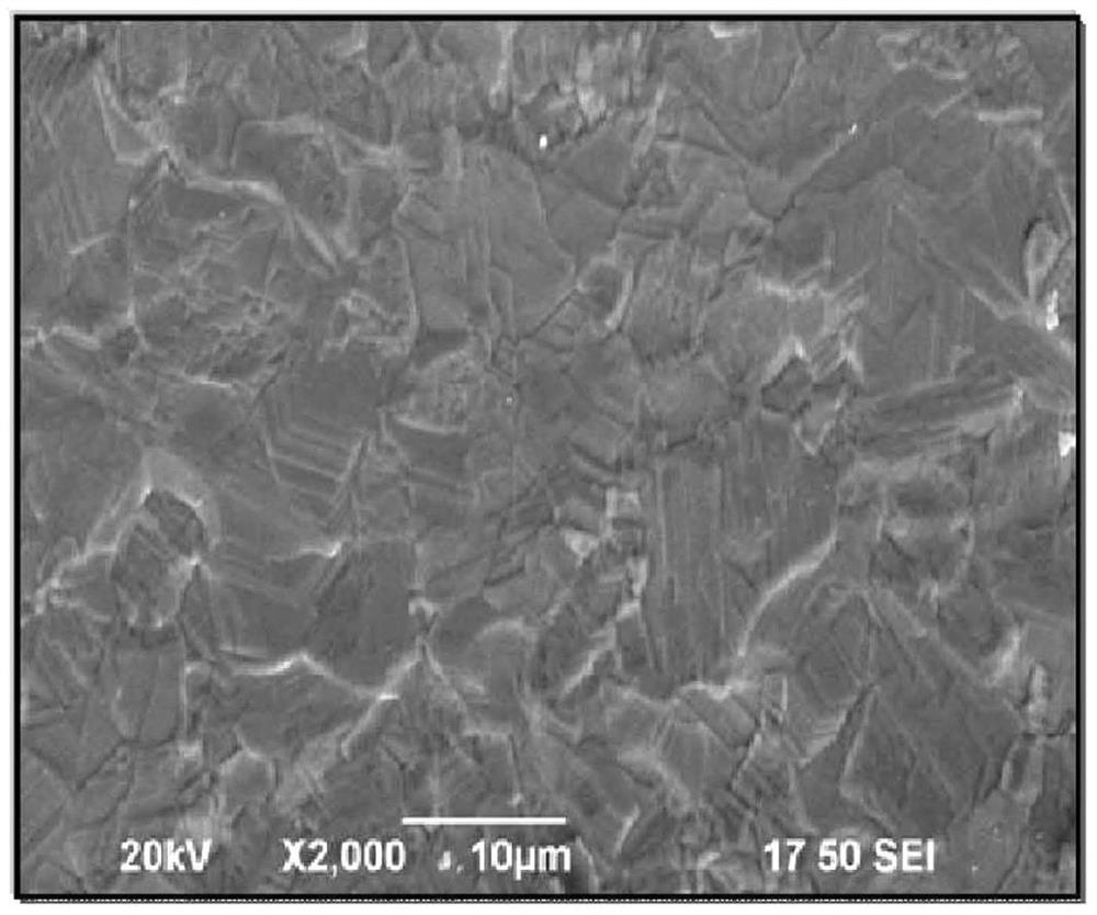 Tantalum carbide composite material