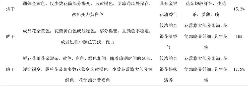 A kind of honeysuckle vacuum freeze-drying process