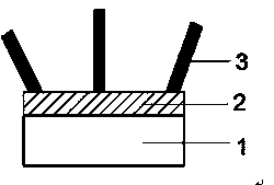 Method for preparing titanium oxide nano wire with self-induction chemical vapor deposition method