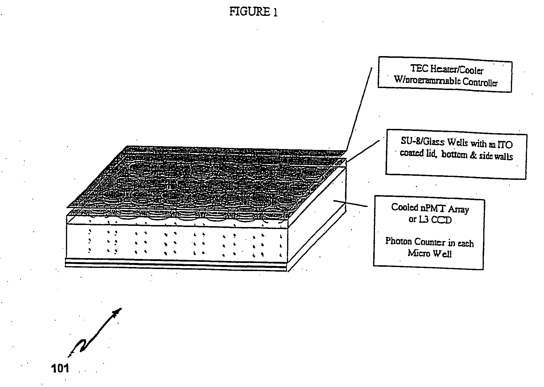 Chips for multiplex analyses