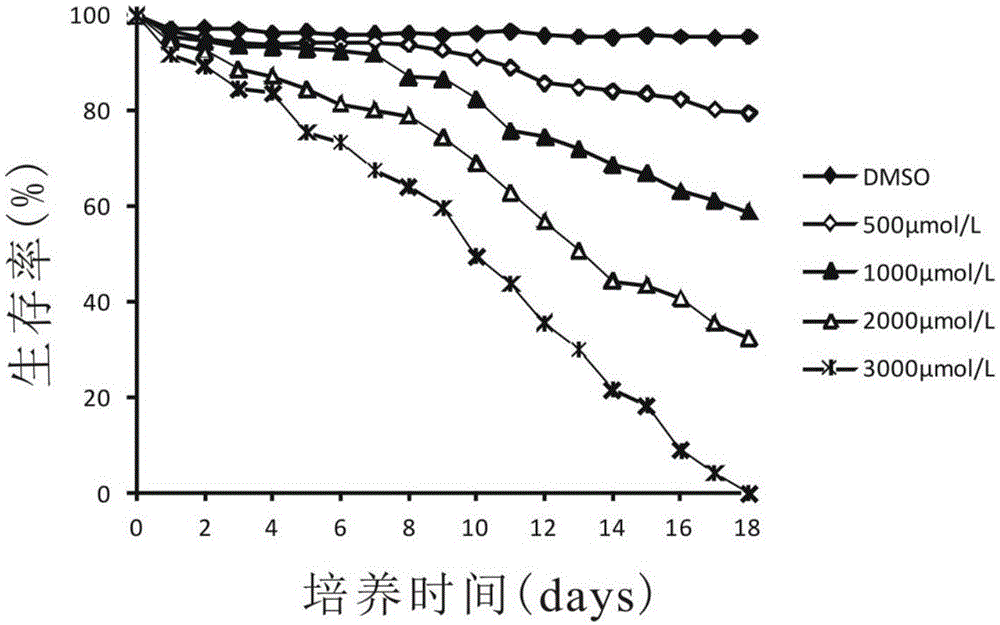 Application of cholic acid as active ingredient in preparation of medicine for treatment of echinococcosis granulosa