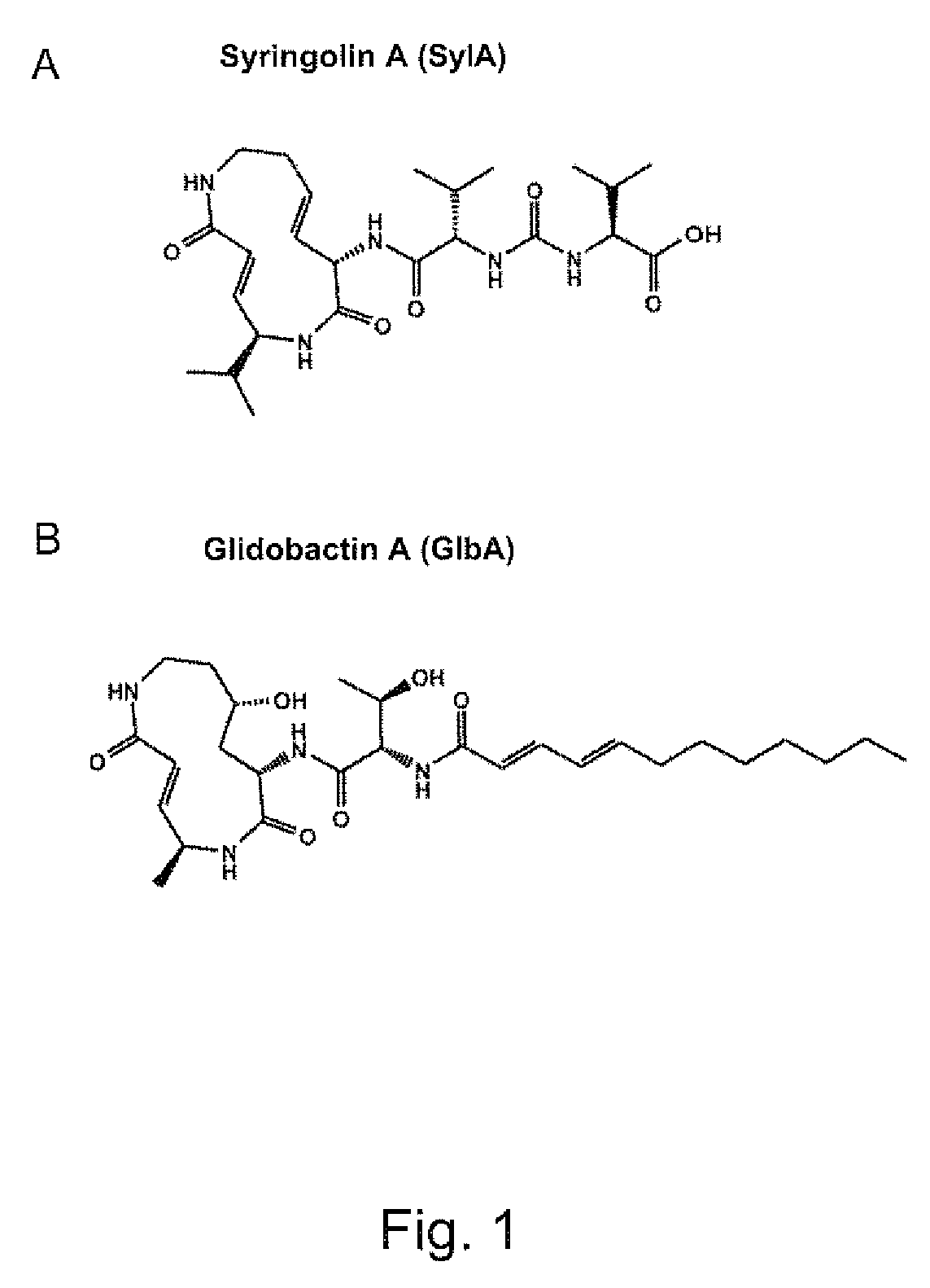 Pharmaceutical compositions for the treatment of conditions responsive to proteasome inhibition