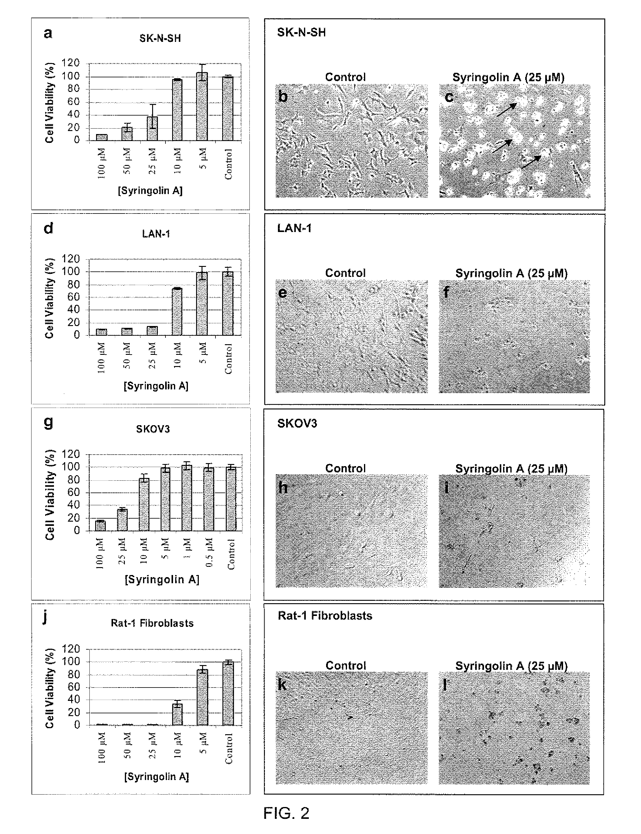 Pharmaceutical compositions for the treatment of conditions responsive to proteasome inhibition