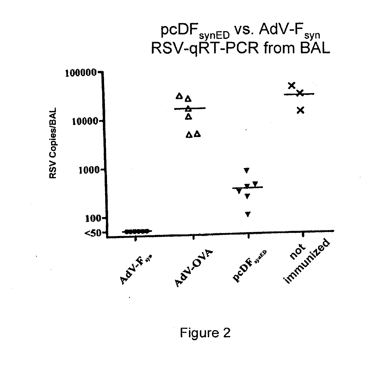 Rsv f-protein and its use