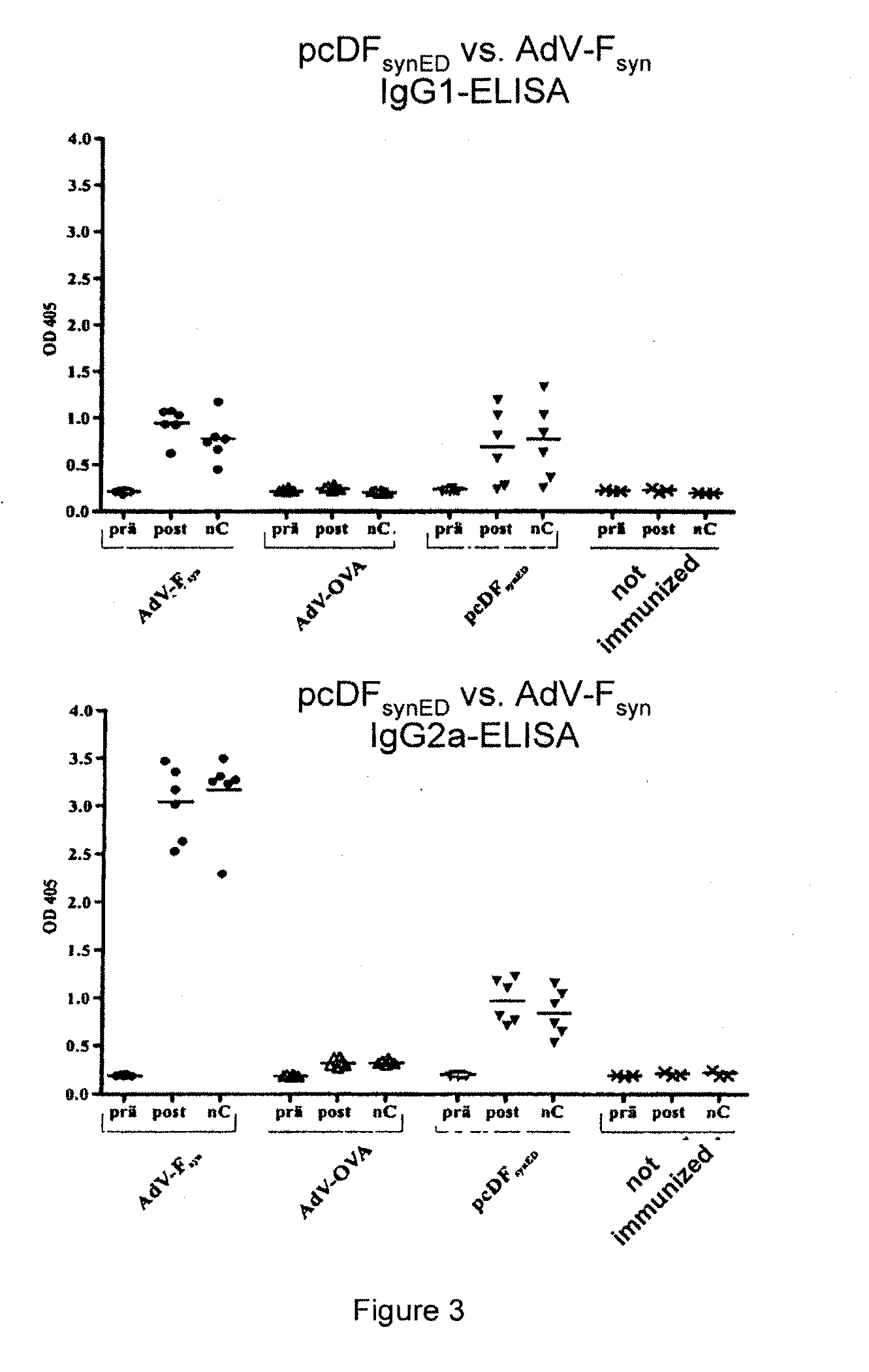 Rsv f-protein and its use