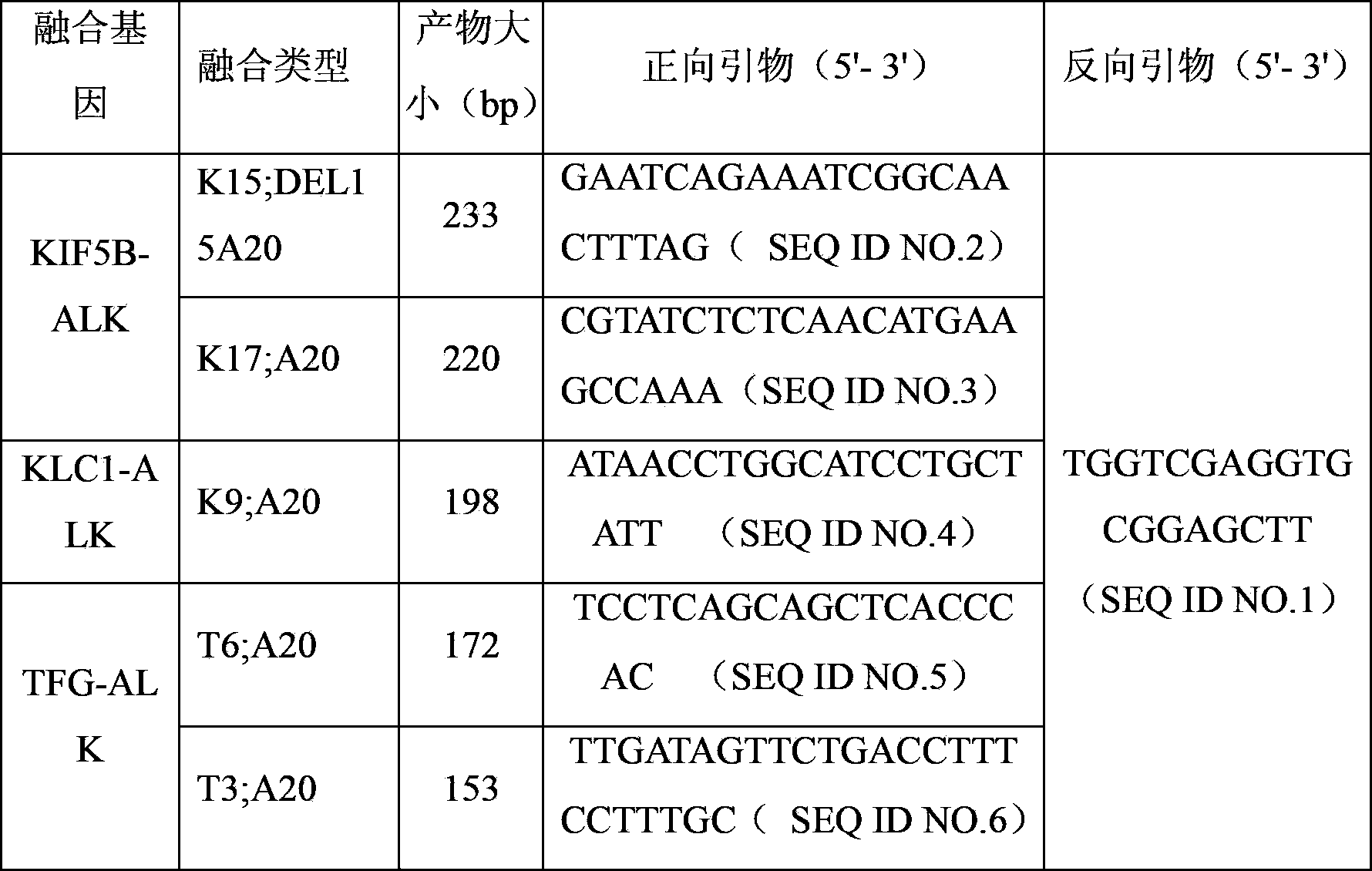 PCR (Polymerase Chain Reaction) primer, kit and liquid phase chip for detecting ALK (Anaplastic Lymphoma Kinase) fusion gene