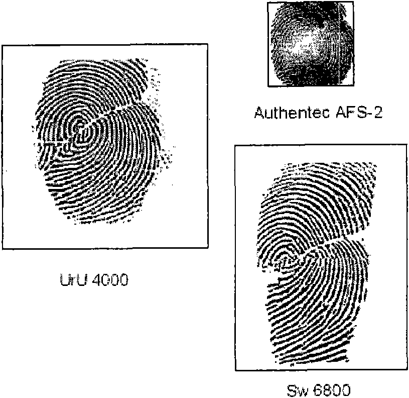 Multi-acquisition-instrument fingerprint crossing-matching method based on size scaling estimation