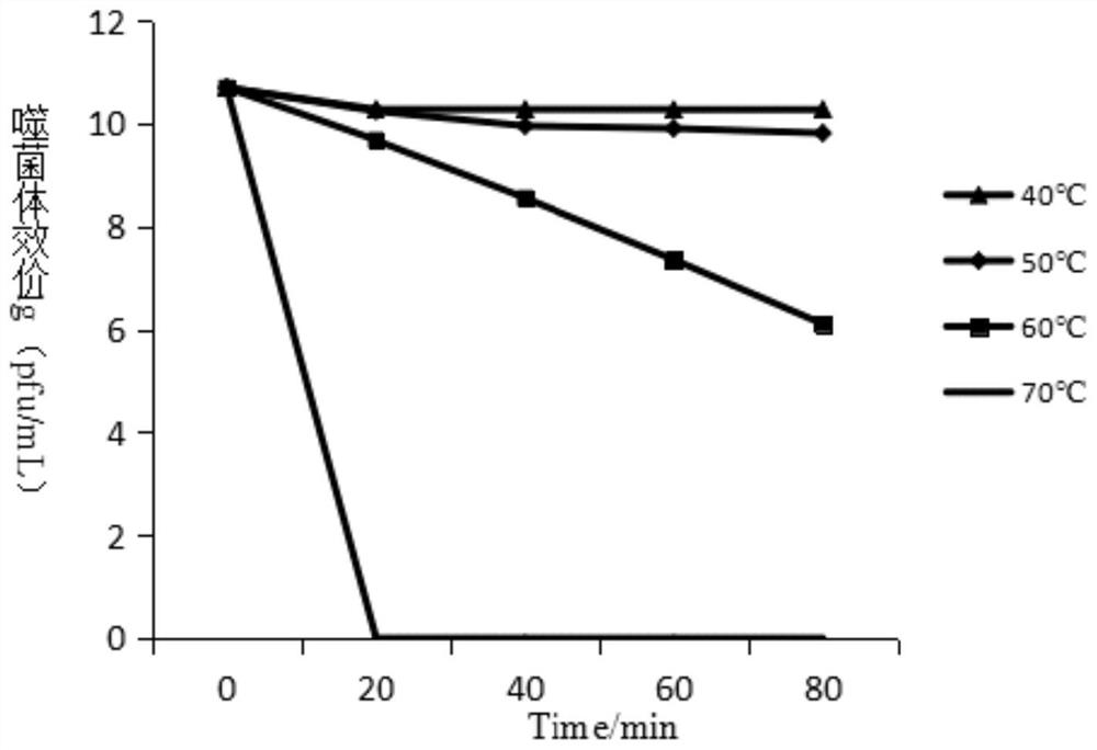 A kind of vibrio phage and its application