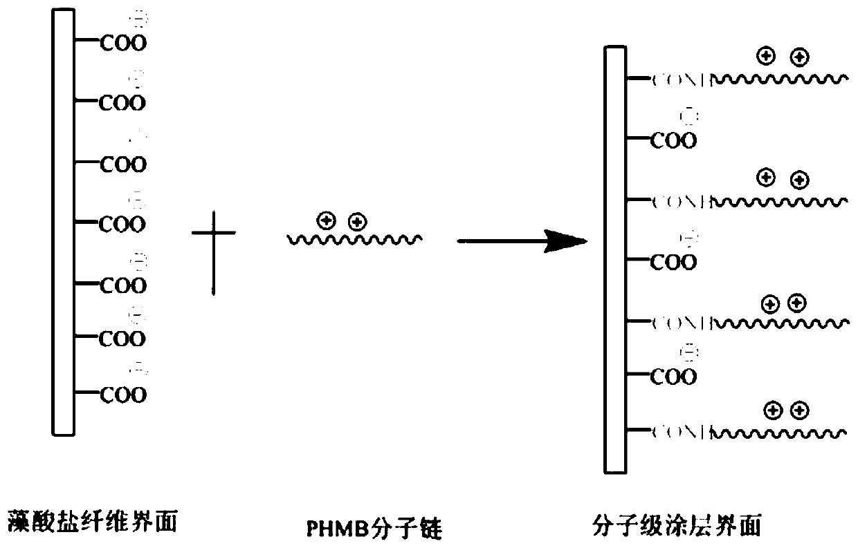 A kind of antibacterial alginate fiber, its preparation method and application of dressing