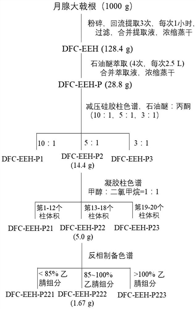 Preparation method of ingenane type diterpene and its use in pharmacy