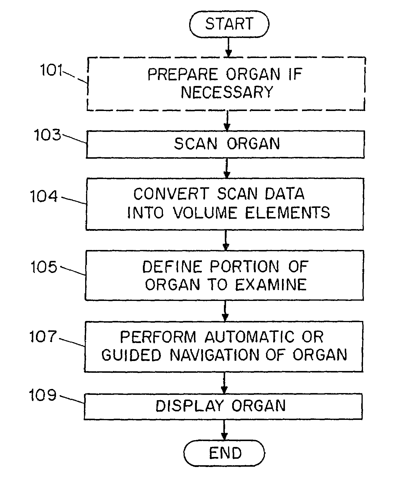 System and method for performing a three-dimensional virtual examination of objects, such as internal organs