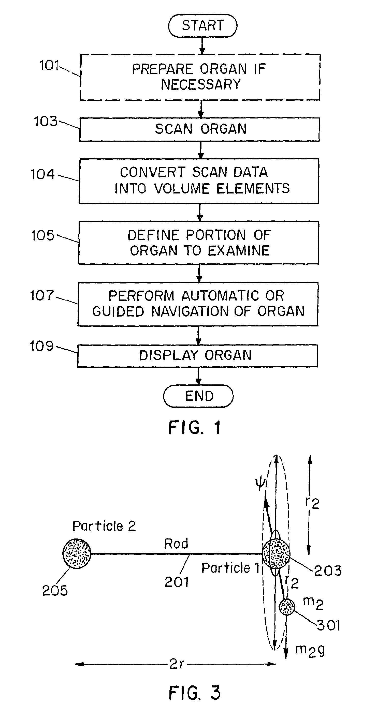 System and method for performing a three-dimensional virtual examination of objects, such as internal organs