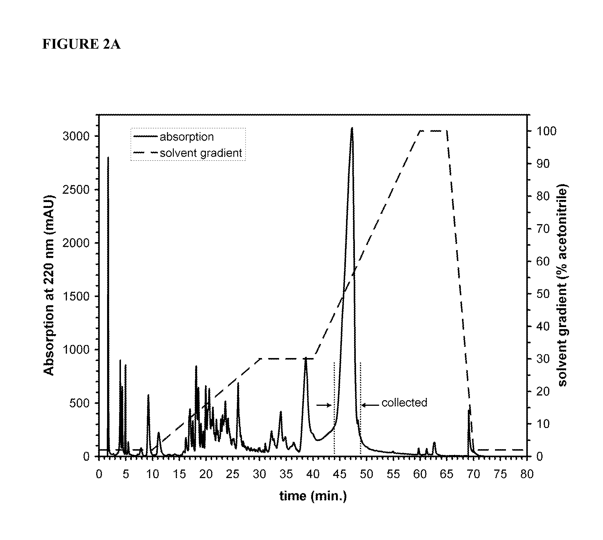 Peptide amphiphiles having improved solubility and methods of using same
