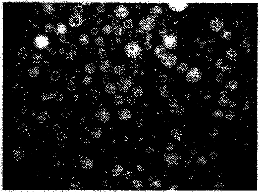 Porous polymeric resins