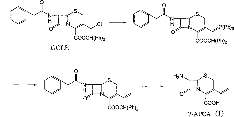 Method of preparing cefprozil parent nucleus 7-amino-3-propenylcephalosporanic acid