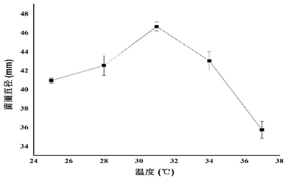 Fuzhuan brick tea making process