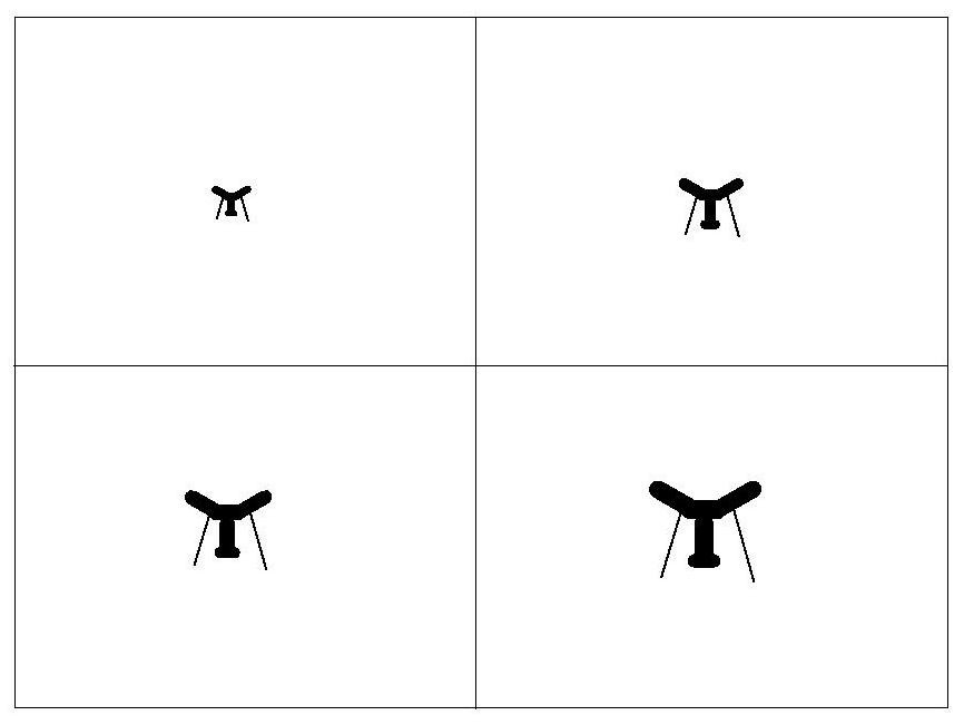 Unmanned aerial vehicle perception avoidance capability detection and evaluation system and method