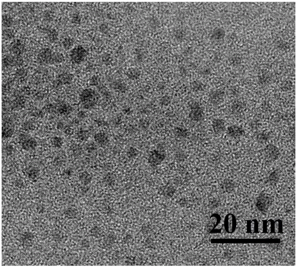 Quaternary ammonium salinization fluorescence silicon dot and preparation method and application thereof