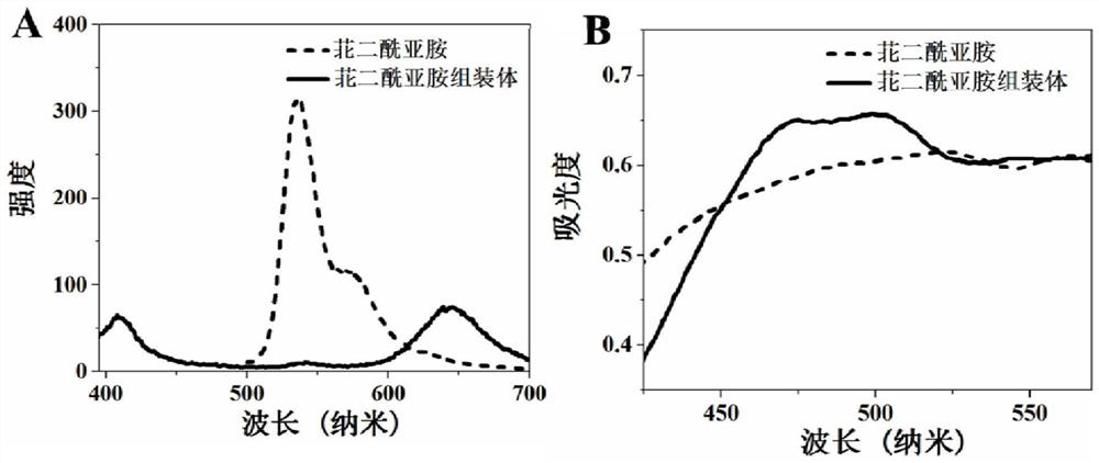 Perylene diimide assembly doped perovskite solar cell and preparation method thereof