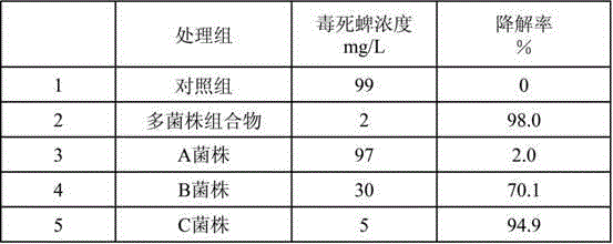 Multi-strain composition for high-efficiency degradation of organic phosphorus pesticides in environment