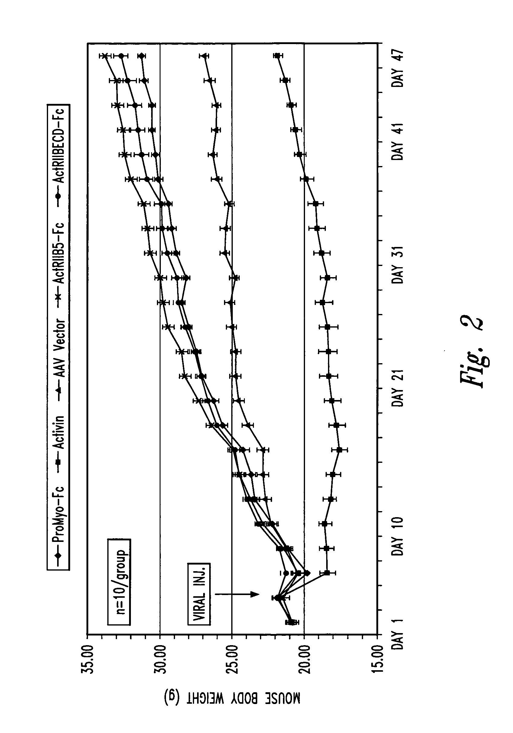 Novel activin receptor and uses thereof