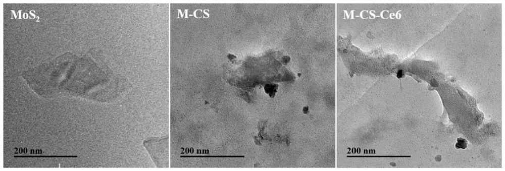 Photodynamic nano antibacterial material as well as preparation method and application thereof