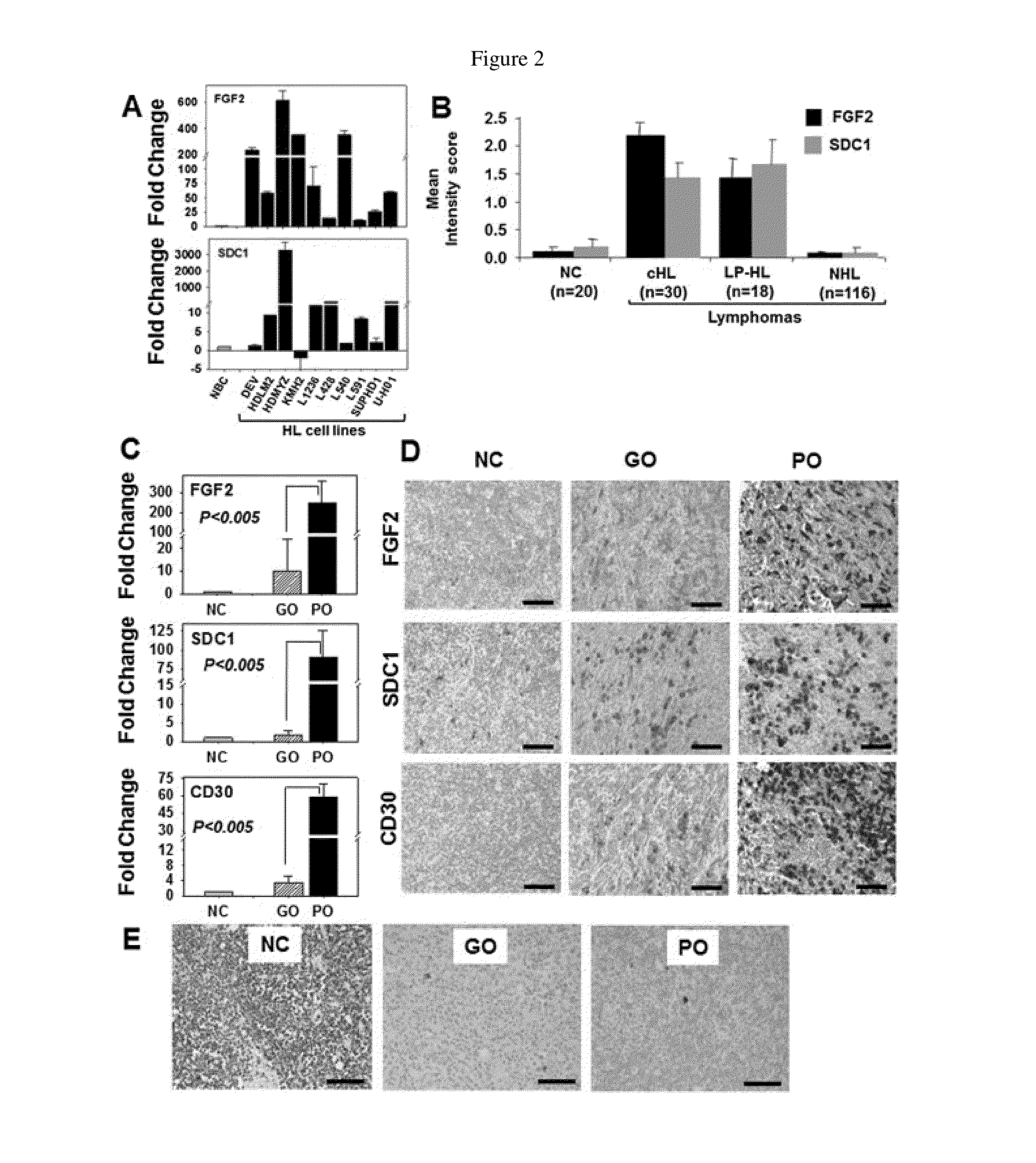 Fibroblast growth factor-2 (FGF2) and syndecan-1 (SDC1) as biomarkers for poor outcome hodgkin lymphoma patients