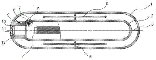 Long-acting physical cuttlefish marking device based on endoskeleton cuttlebone