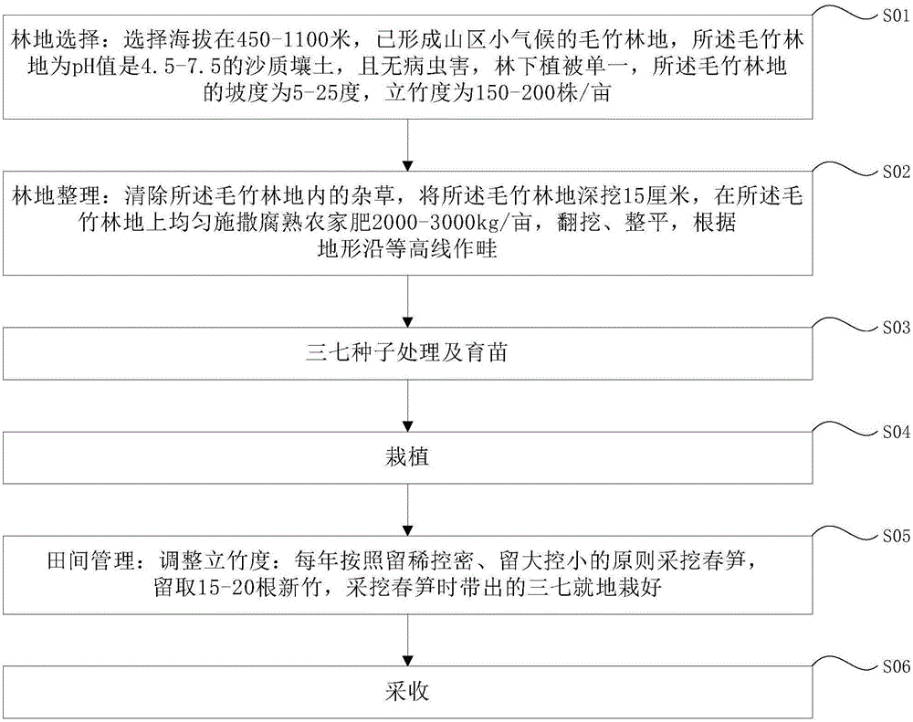 Method for cultivating radix notoginseng in bamboo stand