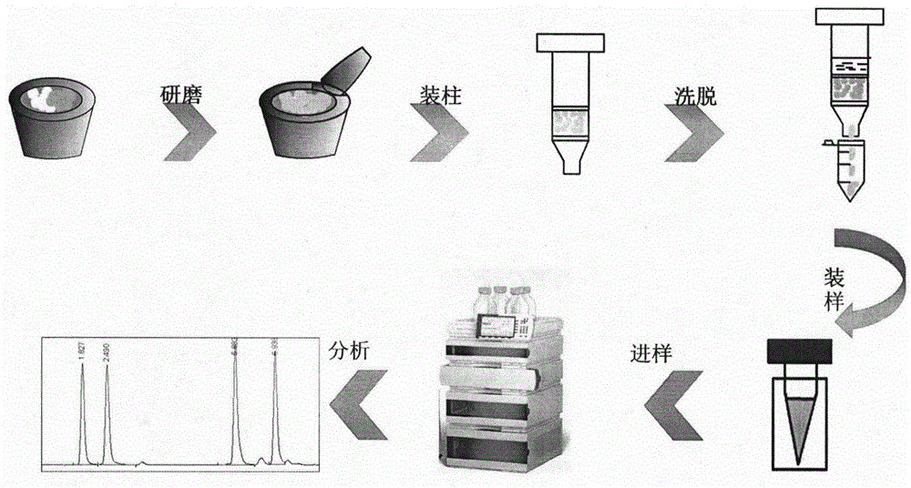 Micro-extraction method of honeysuckle