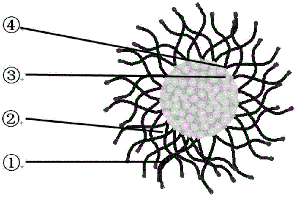 Preparation method for antineoplastic polymer drug micelle