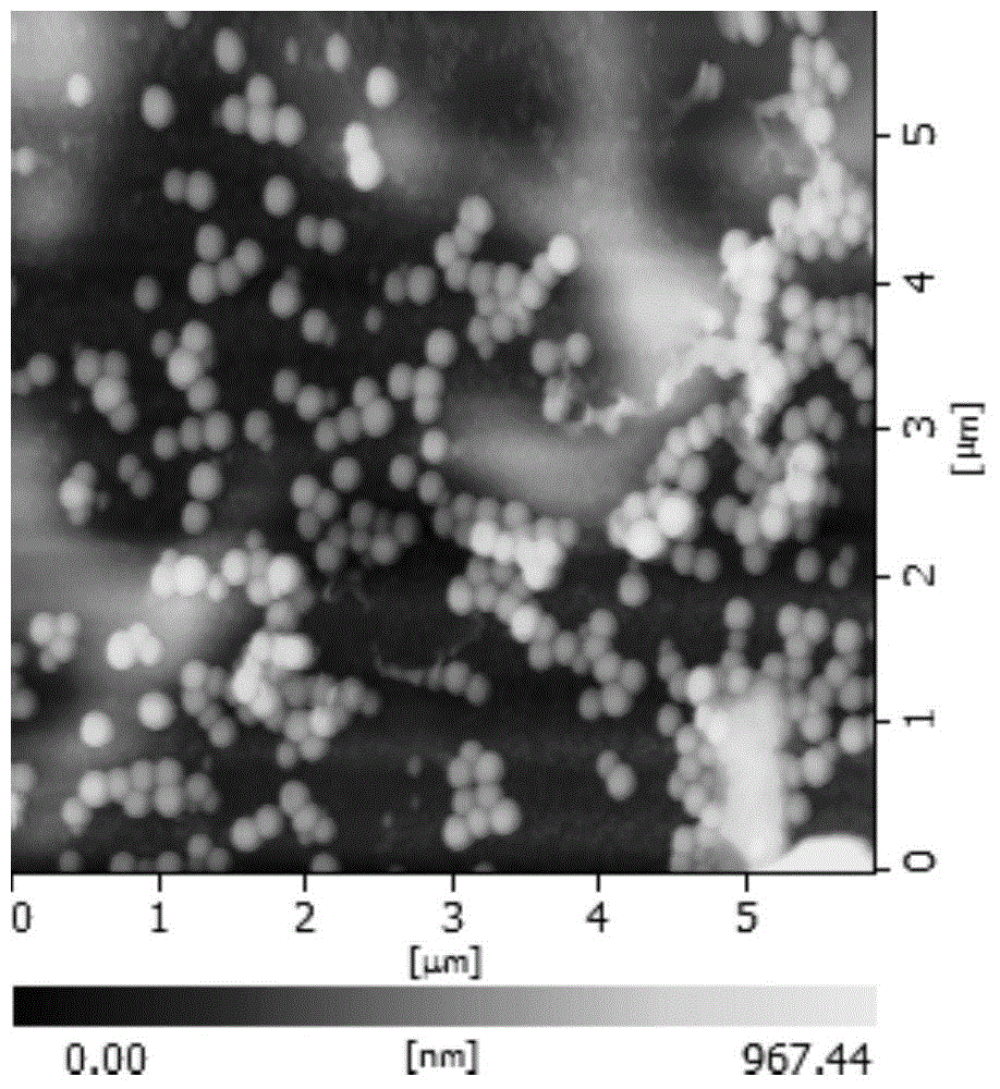 Preparation method for antineoplastic polymer drug micelle