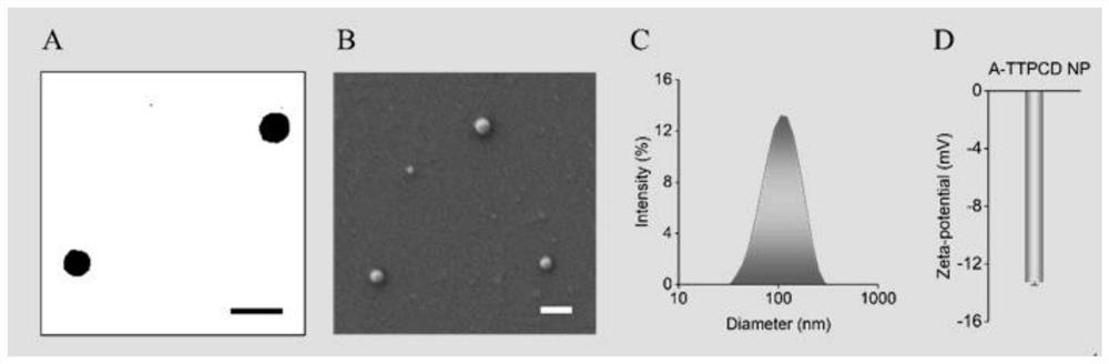 Mitochondria-targeted anti-inflammatory polypeptide nano-drug as well as preparation method and application thereof