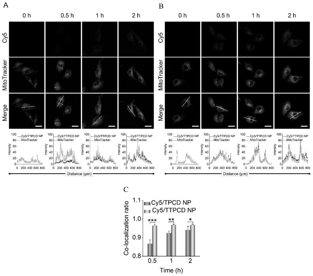 Mitochondria-targeted anti-inflammatory polypeptide nano-drug as well as preparation method and application thereof