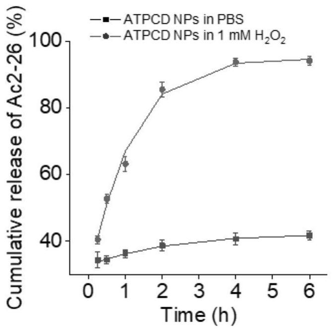 Mitochondria-targeted anti-inflammatory polypeptide nano-drug as well as preparation method and application thereof