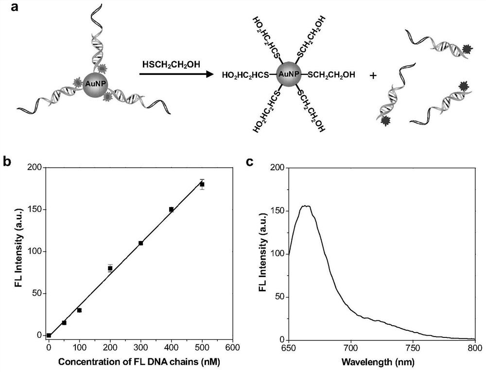 A spherical nucleic acid fluorescent probe for detecting telomerase activity and its preparation method and application