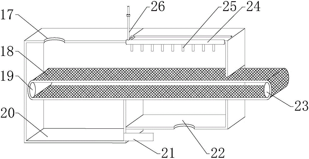 Screening and washing equipment before processing of vegetable seeds