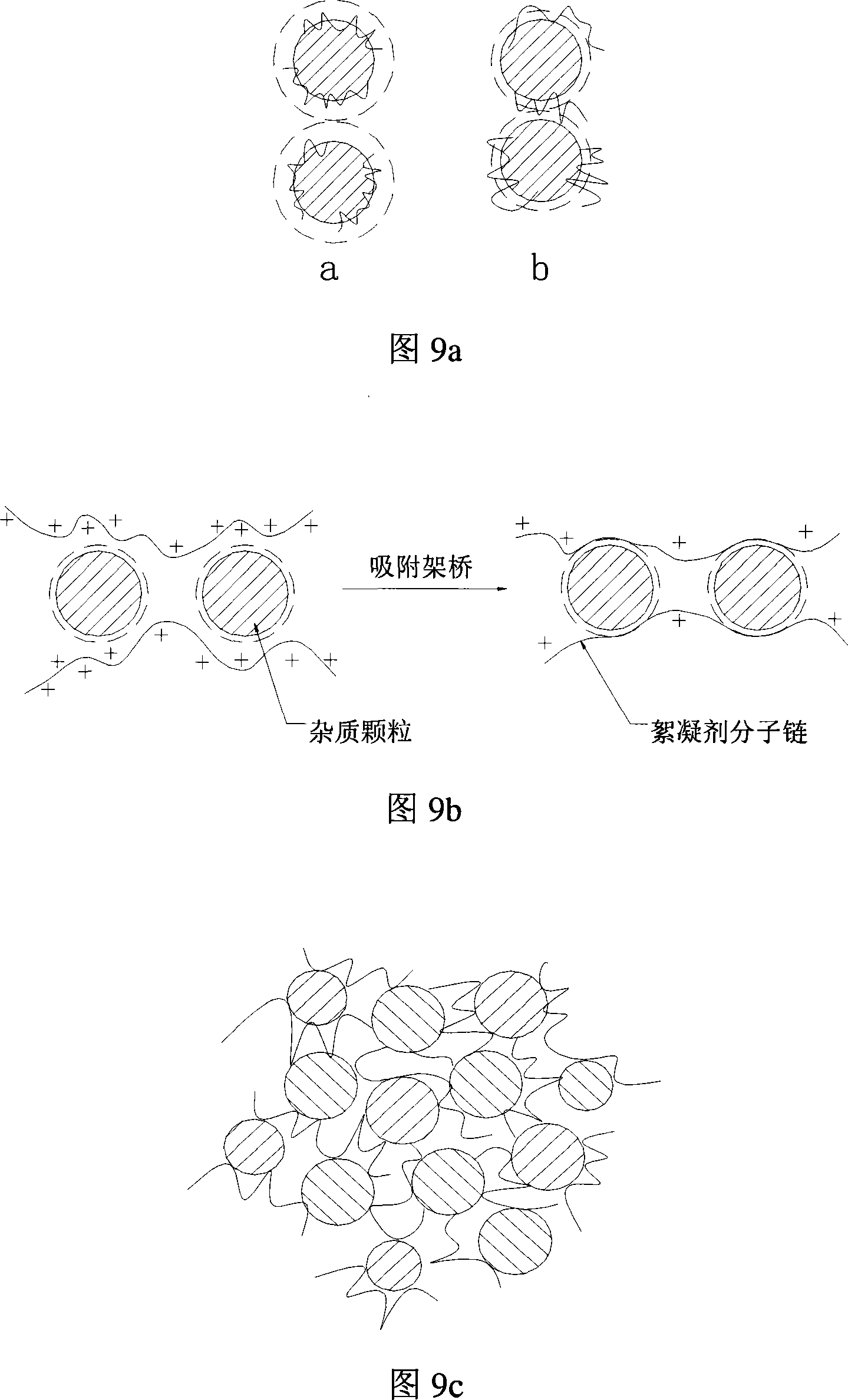 Method for extracting crude flavone and flavone glycoside from ginkgo leafs