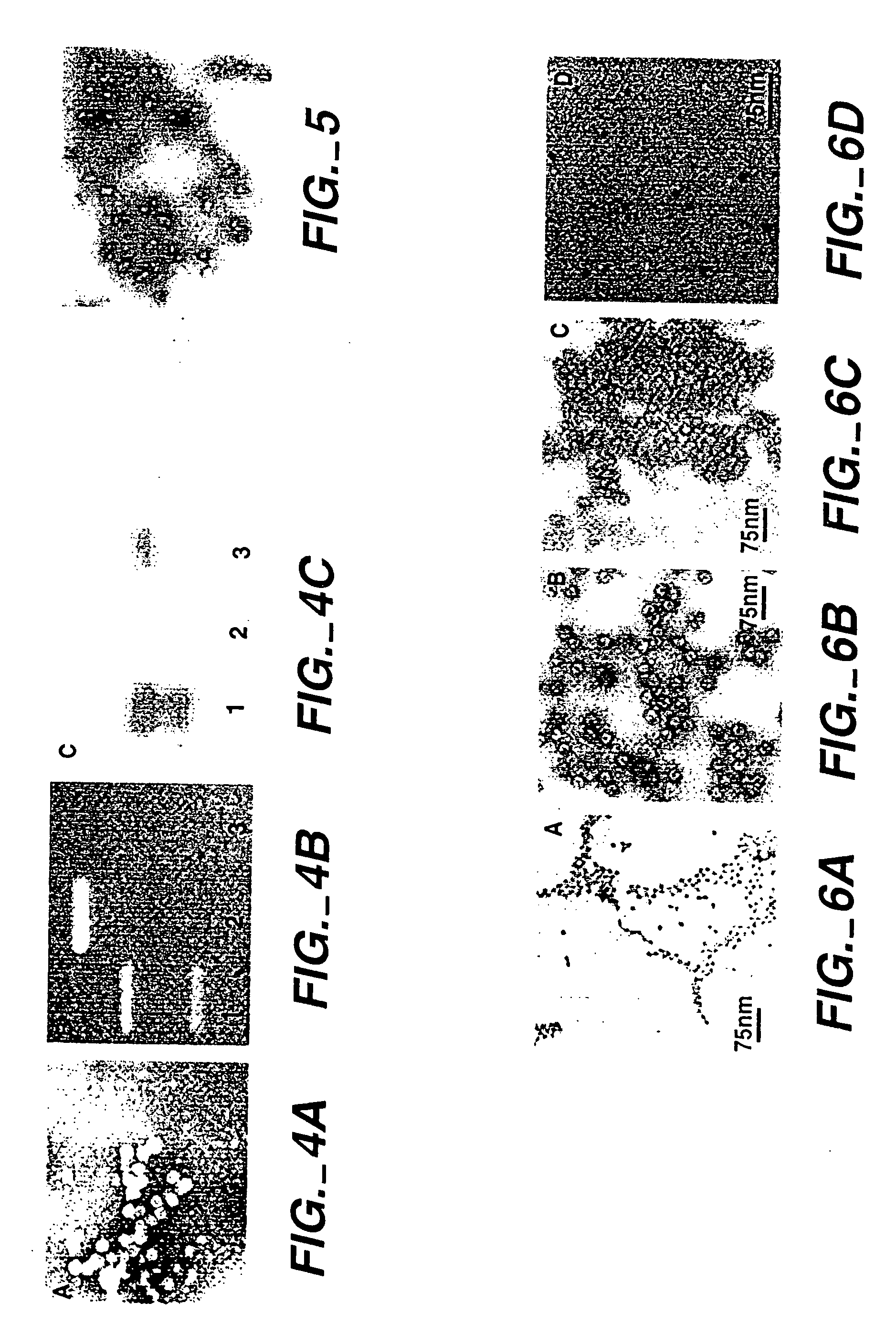 Protein cages for the delivery of medical imaging and therapeutic agents
