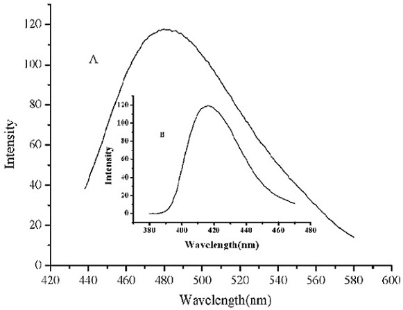 Binuclear zinc complex, preparation method and application thereof