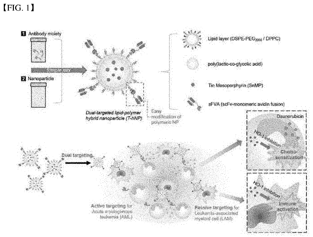 Dual-targeting lipid-polymer hybrid nanoparticles
